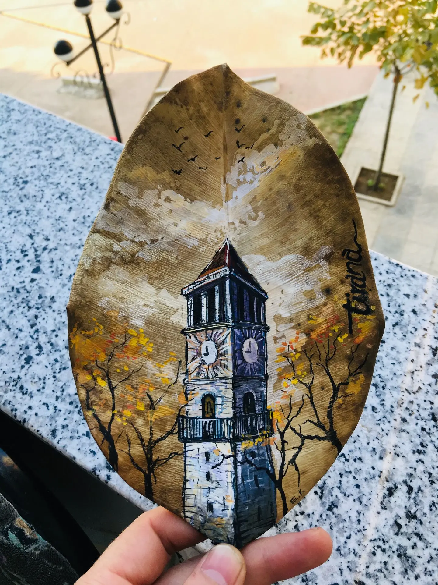 Tirana in leaf