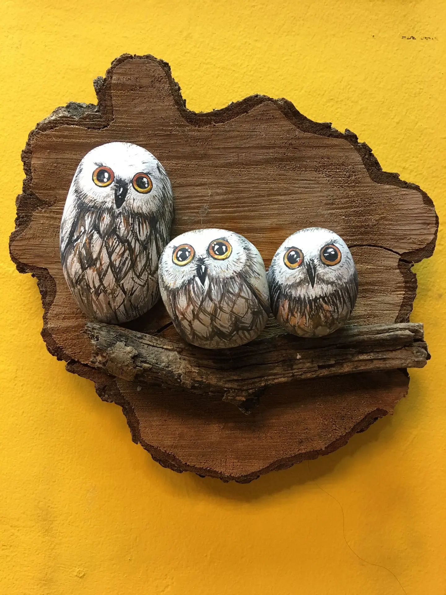 Stones painted